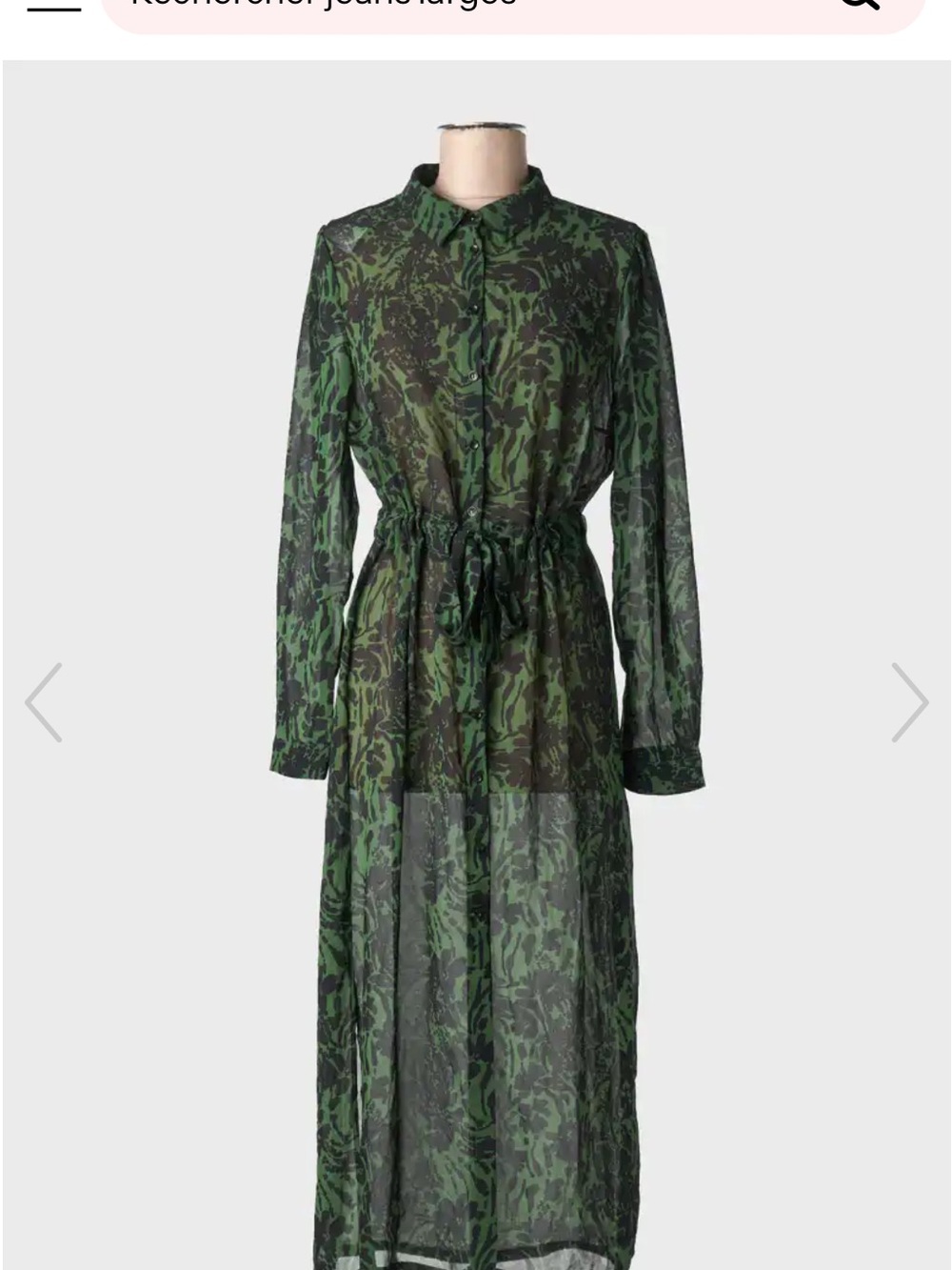 Grace & Mila Green and Black Long-Sleeve Sheer Dress with with Slip